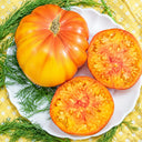 97 Honey Giant Tomato, 5 Seeds