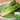 Little Gem Lettuce Seeds, 3g