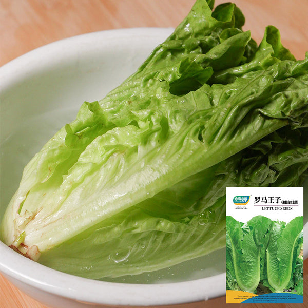 Little Gem Lettuce Seeds, 3g