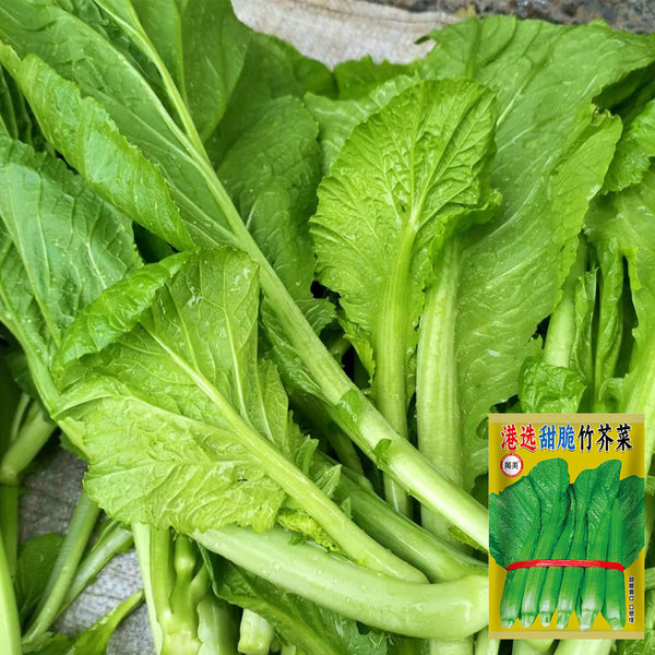 Sweet-Crispy Bamboo Mustard Green Seeds, 20g