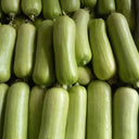 Baipangwa White Luffa Seeds, 10 Seeds