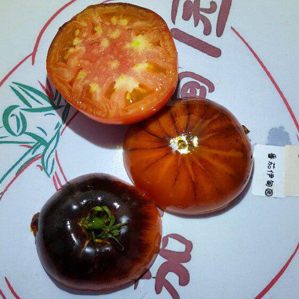 60 Marmande Blue Tomato, 5 Seeds