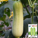 White Jade No.1 Luffa Seeds, 10g