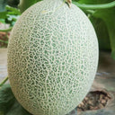 Zhenyu Sweet Melon Seeds, 100 Seeds