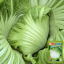 'Selected Dapingpu 818' Mustard Greens Seeds, 10g