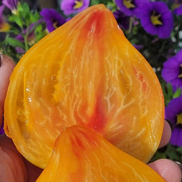 758 Pineapple Strawberry F2 Tomato, 5 Seeds