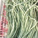 'Zhengjiang Yinshuai' Cowpea Seeds, 30g