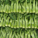 Dajinsun Chinese Kale Seeds, 10g