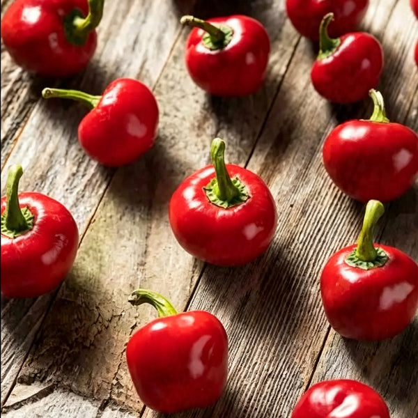 Red Hot Cherry Pepper, 15 Seeds