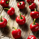 Red Hot Cherry Pepper, 15 Seeds