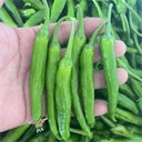 Zhangshugang Chili Pepper Seeds, 30 Seeds