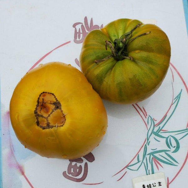 U2579 Frog Princess Tomato, 5 Seeds