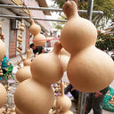 Thick-neck Eight Treasures Gourd, 10 Seeds