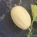 Qingzhou Silver Melon Seeds, 1g