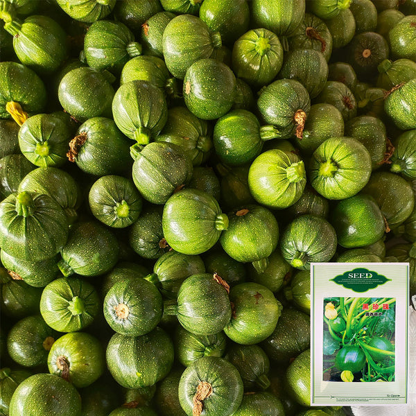 Black Pearl Round Zucchini Seeds, 10 Seeds