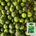Black Pearl Round Zucchini Seeds, 10 Seeds