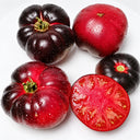 384 Sofia's Purple Apple Tomato, 5 Seeds