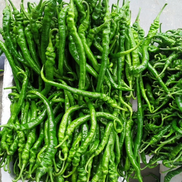 Spiral Spicy Line Pepper Seeds, 0.5g