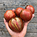 471 Dwarf Grail Tomato, 5 Seeds