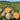 No.8 Red Cantaloupe Hybrid, 50 Seeds