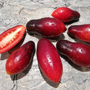 211 Dwarf Pretty Girl F6 Tomato, 5 Seeds