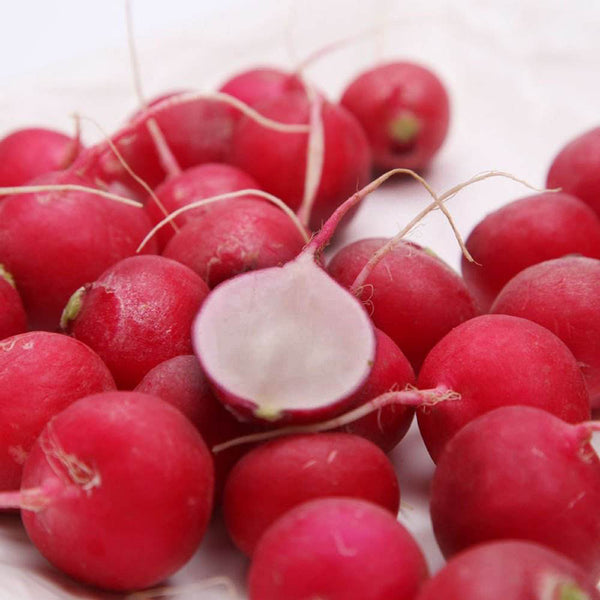 Akahimaru Radish Seeds, 10g