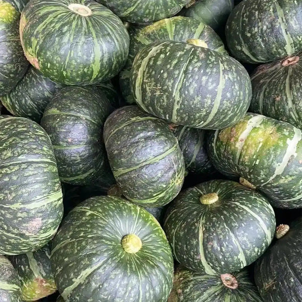 Chinese Pumpkin Seeds, 10g