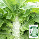 Erbai Pi Stems Lettuce Seeds, 10g