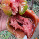 Super Sweet Sandy Strawberry Tomato, 100 Seeds