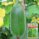 Yueguang Wax Gourd Seeds, 20g