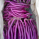 Hangzhou Red Eggplant Seeds, 10g