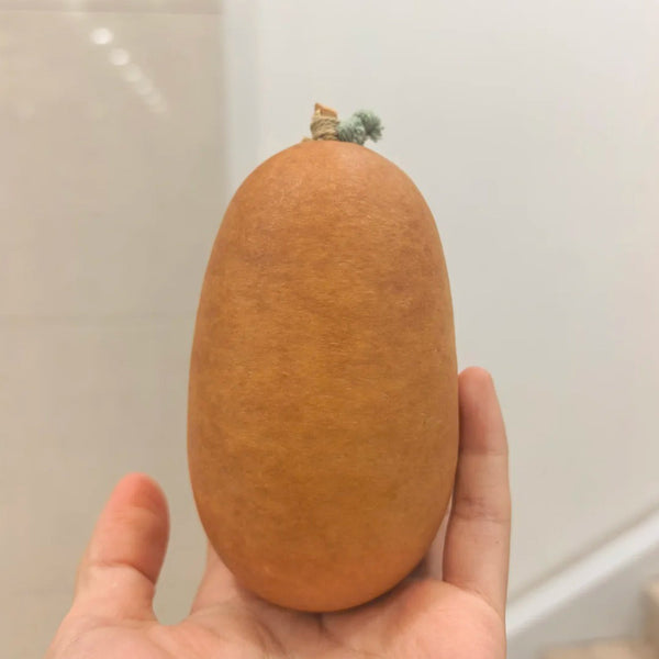 'Little Winter Melon' Gourd, 10 Seeds