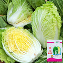 'Shuyue 601' Chinese Cabbage Seeds, 10g