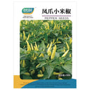 Small Chili Pepper Seeds, 50 Seeds
