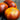 922 Buse Bird Tomato, 5 Seeds