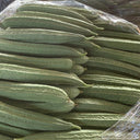 Jiemei Speckled Ridge Gourd, 20 Seeds