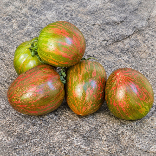 33 Moonlight Mile Tomato, 5 Seeds