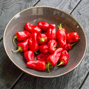 Syrian Has Goli Hot Pepper, 2~4 Seeds