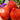 Strawberry Sorbet F7 Tomato, 5 Seeds