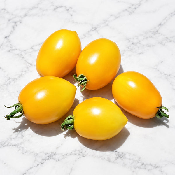 1152 Raindrop Micro Dwarf Tomato, 5 Seeds
