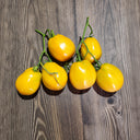 433 Argentine Miracle Tomato, 5 Seeds
