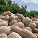 Mibao Pumpkin Seeds, 10g