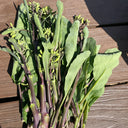 Red-Stemmed Chinese Kale Seeds, 10g