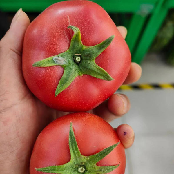 Pink Peach Fruit Tomato Seeds, 0.5g