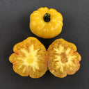 565 Tiger Paw Tomato, 5 Seeds