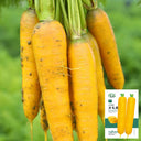 Qitou Yellow Carrot Seeds, 5g