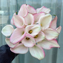 'Sweet Art' Calla Lily, 16/18cm Circumference, 1 Bulb