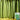 Jiamei 60 Long Sponge Gourd, 100 Seeds
