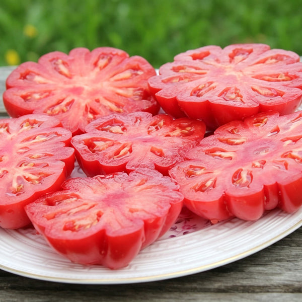 621 Morskaya Zvezda Red Tomato, 5 Seeds