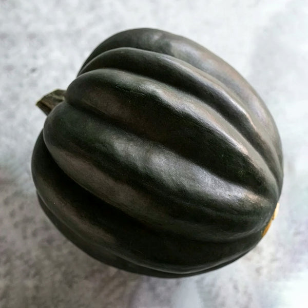 Acorn Squash, 5 Seeds